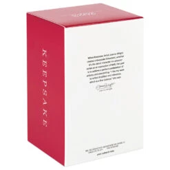 Hallmark Christmas Angels Good Cheer Ornament -Charming Home Shop Angel in Red Flowers Dress Keepsake Ornament 2499QXR8267 05