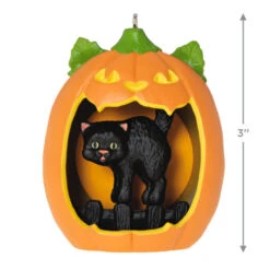 Hallmark Happy Halloween! Ornament -Charming Home Shop Black Cat Pumpkin Diorama Keepsake Ornament 1799QFO5311 03