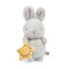 Bunnies By The Bay Sweet Bloom Bunny Stuffed Animal With Toy Sun, 9" -Charming Home Shop Bunnies by the Bay Gray Bunny Stuffed Animal With Toy Sun 104327 01