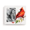 Demdaco Spring Cardinal Ceramic Picture Frame, 4x6 -Charming Home Shop Cardinal Illustration on White Ceramic Picture Frame 1004610085 01
