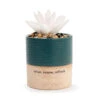 Demdaco Relax Succulent Oil Diffuser