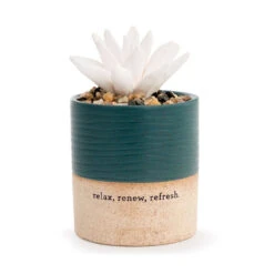 Demdaco Relax Succulent Oil Diffuser