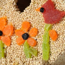 Charming Home Shop -Charming Home Shop Mr. Bird Spring Fruit Casita Birdhouse 740 02