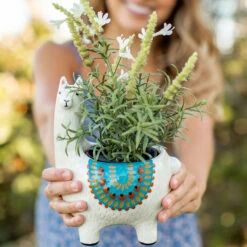 Charming Home Shop -Charming Home Shop Natural Life Cream Ceramic Llama Planter PLNT073 02