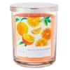 Hallmark Orange Vanilla Cream 3-Wick Jar Candle, 16 Oz. -Charming Home Shop Orange Vanilla Cream 3Wick Jar Candle 1BGC1062 01