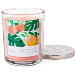 Hallmark Tropical Escape 3-Wick Jar Candle, 16 Oz. -Charming Home Shop Tropical Escape 3Wick Jar Candle 1BGC1051 03